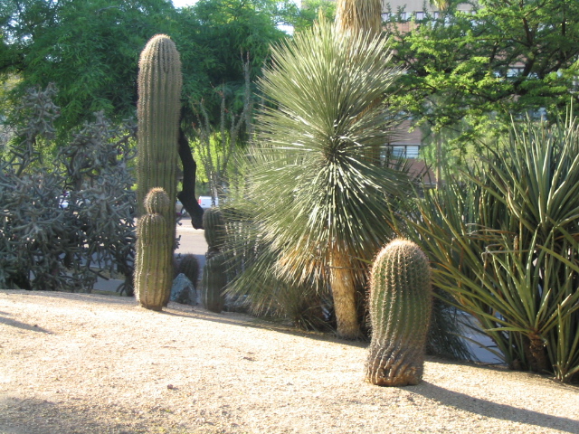 618x457 pixels (266K)